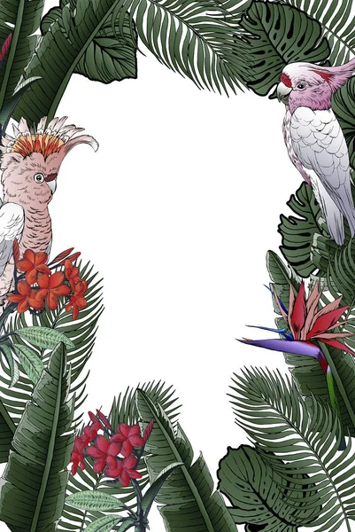 Ilustração Vetorial Cartaz Com Papagaios Flores Tropicais — Vetor de Stock