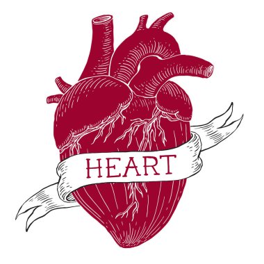 İnsan kalbi oyma illüstrasyon. Stil dövme. Vintage şerit - aşk. El yazı çekilmiş.