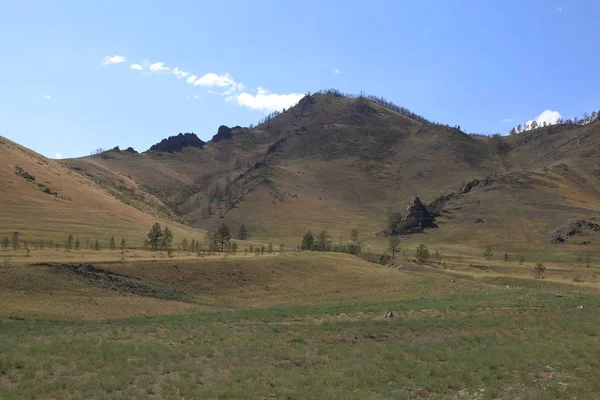 Barguzin Dağlar Dağlar Barguzin Nehri Vadisi Huş Ağacı Orman Kemer — Stok fotoğraf