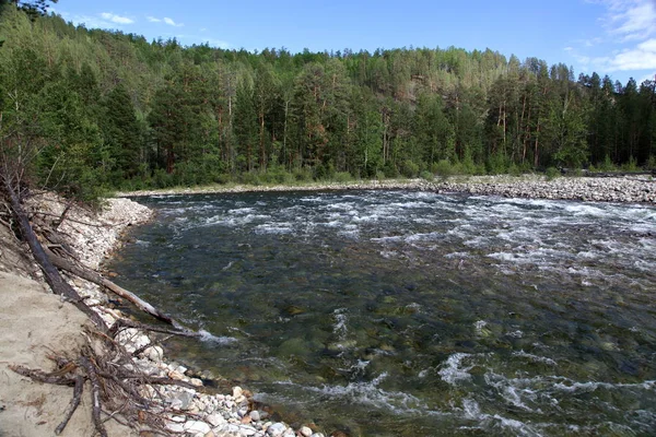 Ποταμός Barguzin Στον Ποταμό Siberian Barguzin Στην Ημέρα Καλοκαίρι Επάνω — Φωτογραφία Αρχείου