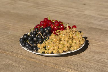 siyah kırmızı ve beyaz curran meyveler