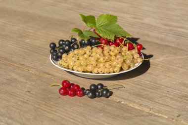 siyah kırmızı ve beyaz curran meyveler