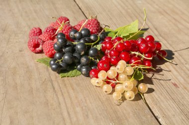 çilek, ahududu, siyah kırmızı ve beyaz frenk üzümü