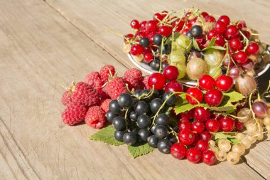 çilek, ahududu, siyah kırmızı ve beyaz frenk üzümü
