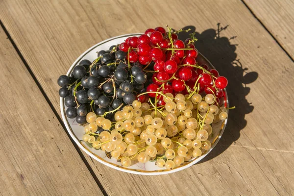 siyah kırmızı ve beyaz curran meyveler