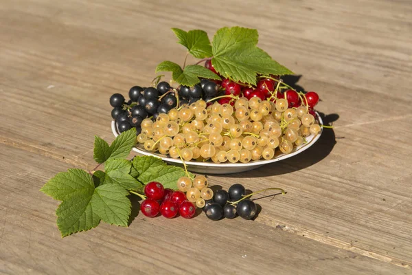 siyah kırmızı ve beyaz curran meyveler