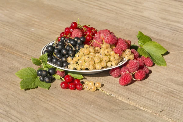 çilek, ahududu, siyah kırmızı ve beyaz frenk üzümü