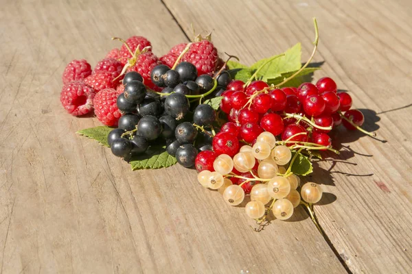 çilek, ahududu, siyah kırmızı ve beyaz frenk üzümü