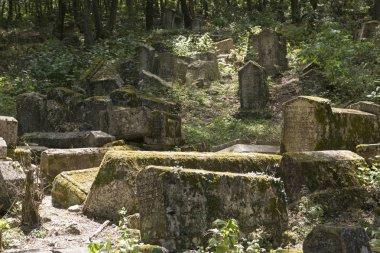 Ormandaki eski mezarlığı