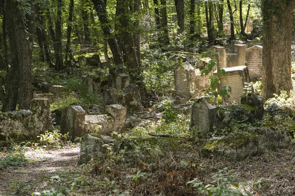 old cemetery in the forest