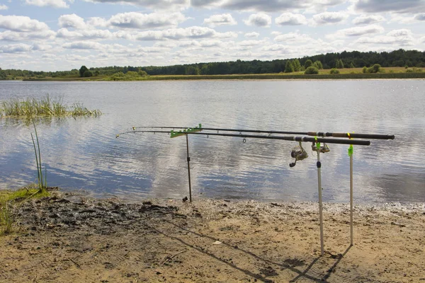 fish on a feeder rod