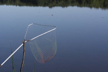 Fish3