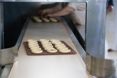 Bisküvi ve çörek üretim endüstriyel hattı. Konveyör bant mutfak ürünleri imalatı için