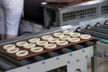 Bisküvi ve çörek üretim endüstriyel hattı. Konveyör bant mutfak ürünleri imalatı için