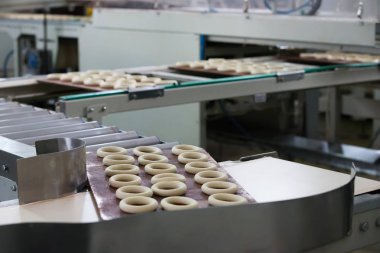 Bisküvi ve çörek üretim endüstriyel hattı. Konveyör bant mutfak ürünleri imalatı için
