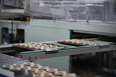 Bisküvi ve çörek üretim endüstriyel hattı. Konveyör bant mutfak ürünleri imalatı için