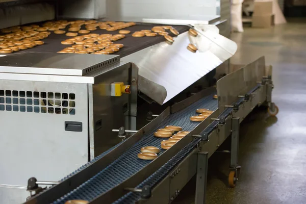 Industrial Line Production Brooches Biscuits — Stock Photo, Image