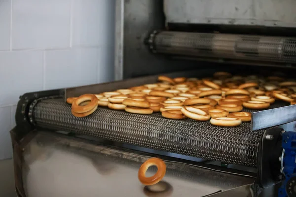 Industrial Line Production Brooches Biscuits — Stock Photo, Image