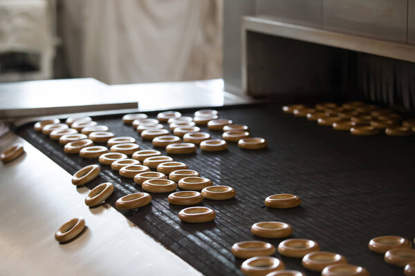 Industrial line for the production of brooches and biscuits