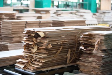 Ahşap işleme tesisi. Dreshes işlenmesi Çalıştayı