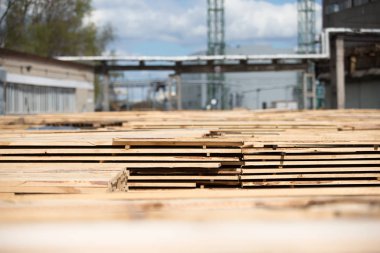 Ağaç işleme tesisi. Ağaç işleri sanayi. Ahşap depo