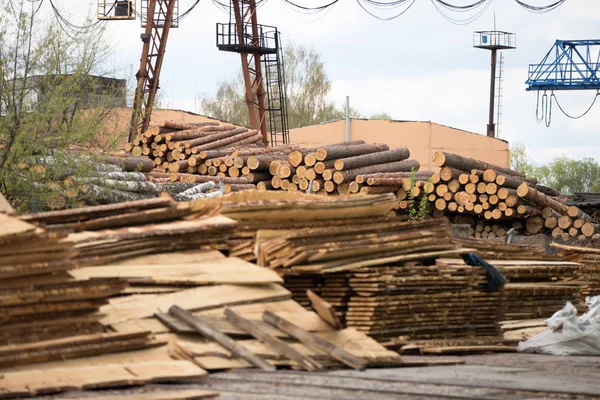 Fábrica Marcenaria Logs Árvores Tábuas Fábrica Móveis Madeira Produção — Fotografia de Stock