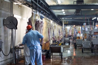 Hayvan leşleri ile et dükkanı. Et fabrikası