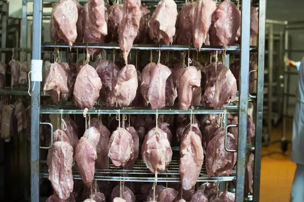 Fábrica Carne Filete Suspendido Una Cuerda Cámara Secado Planta Procesamiento — Foto de Stock