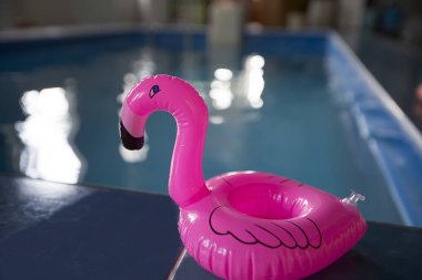 Oyuncak pembe flamingo havuzun arka plan üzerinde
