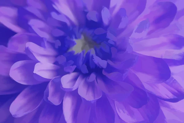Paarse Chrysant Bloem Closeup — Stockfoto