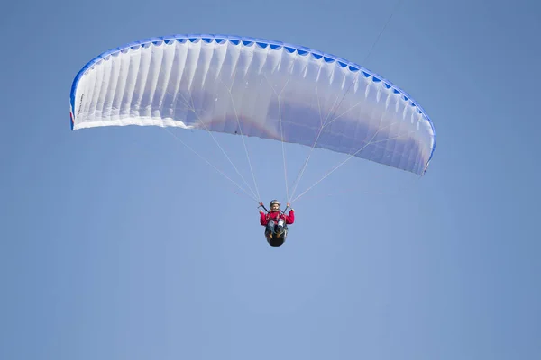 Biélorussie Ville Gomel Octobre 2018 Performances Parapente Parapente Vole Dans — Photo