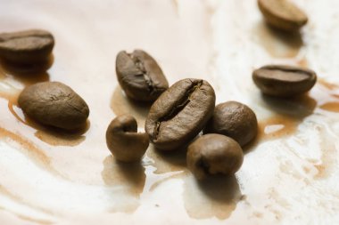 Kahve çekirdekleri portre. Serpilir kahve
