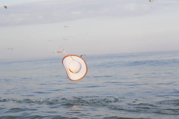 Sombrero Volador Fondo Del Mar —  Fotos de Stock