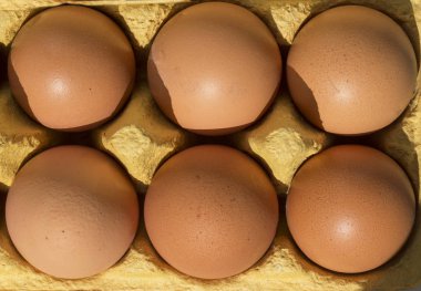 Paketin üst kısmında altı yumurta yakın çekim. Yumurtalı tepsi