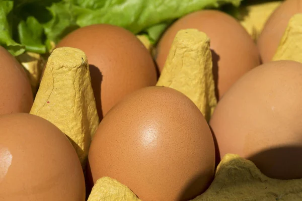 Yellow eggs in a tray closeup