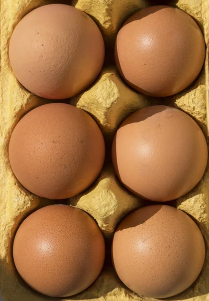 Шість Яєць Упаковці Вид Зверху Впритул Лоток Яйцями — стокове фото