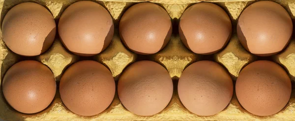 Шість Яєць Упаковці Вид Зверху Впритул Лоток Яйцями — стокове фото