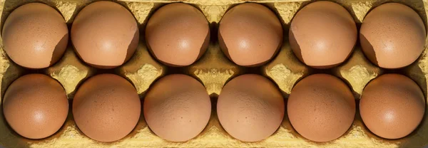 Six eggs in the package top view close-up. Tray with eggs