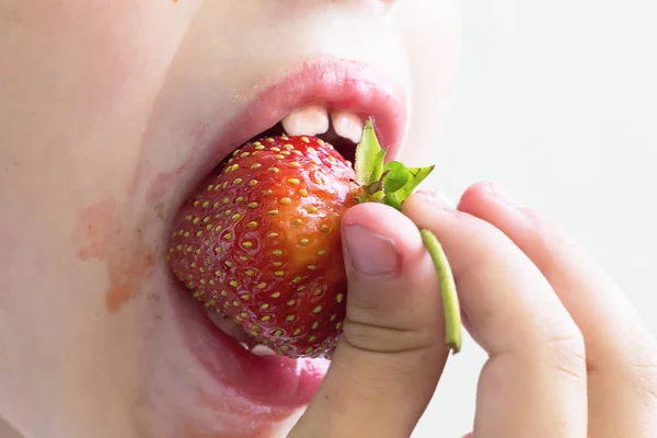 Man eats strawberries. Berry in the mouth. Small child or baby e