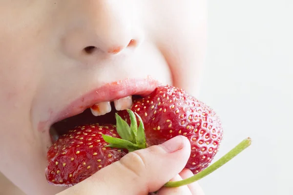 Man eats strawberries. Berry in the mouth. Small child or baby eating red color berry of strawberry