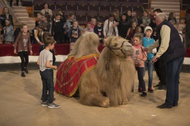 Belarus, Goamel şehri, Nisan 07, 2019. Sirk 