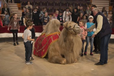 Belarus, Goamel şehri, Nisan 07, 2019. Sirk 