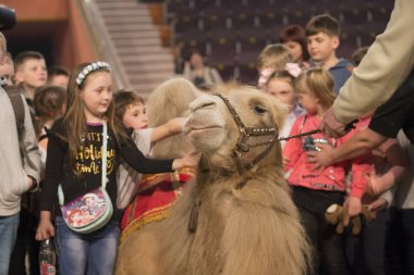 Belarus, Goamel şehri, Nisan 07, 2019. Sirk 
