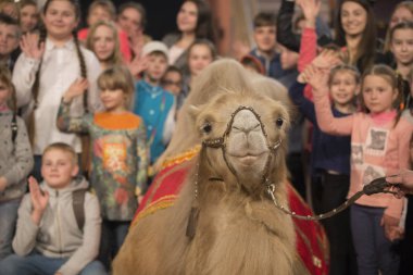 Belarus, Goamel şehri, Nisan 07, 2019. Sirk 