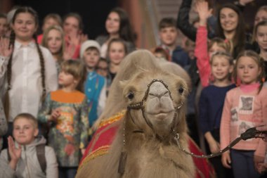 Belarus, Goamel şehri, Nisan 07, 2019. Sirk 
