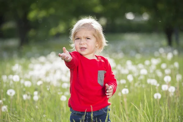 Small child in bright clothes on green grass.Baby in the meadow