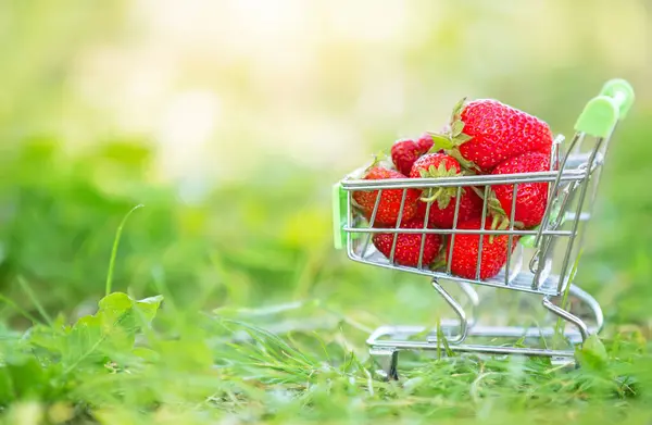 Carrinho Com Supermercado Com Morangos Grama Verde Belas Bagas Verão — Fotografia de Stock