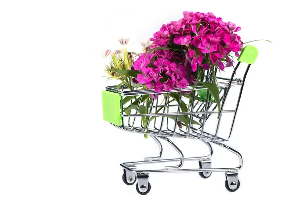 Carrinho Supermercado Com Flores Fundo Branco Venda Flores — Fotografia de Stock