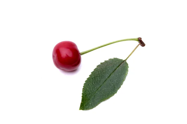 Cherry berry isolated on white background. — Stock Photo, Image