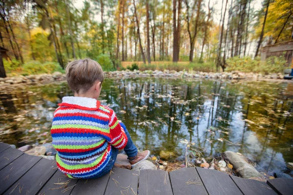 Bambino in una passeggiata autunnale. Il ragazzo si siede su uno sfondo di natura di autunno. — Foto Stock